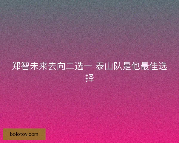 郑智未来去向二选一 泰山队是他最佳选择
